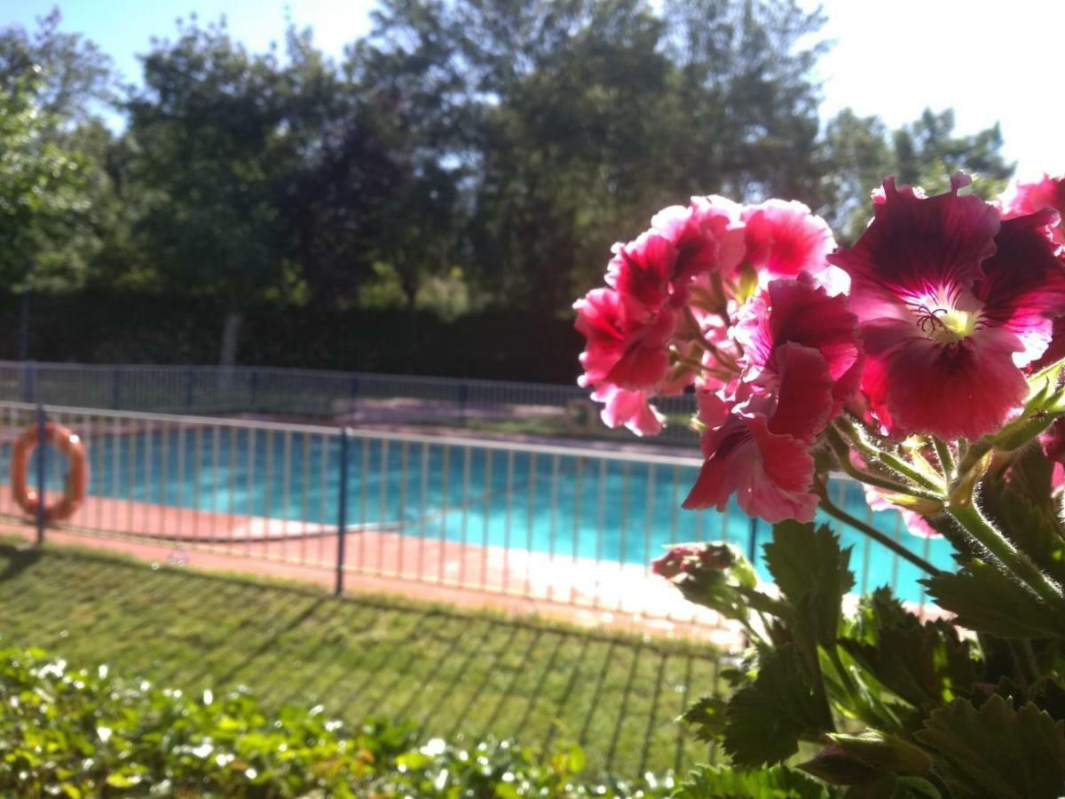 Camping El Pinajarro แอร์วาส ภายนอก รูปภาพ